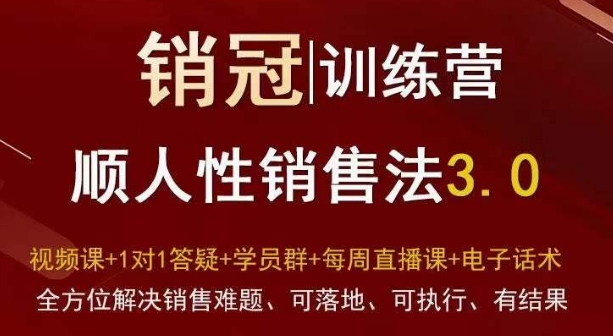 爆款！销冠训练营3.0之顺人性销售法，全方位解决销售难题、可落地、可执行、有结果