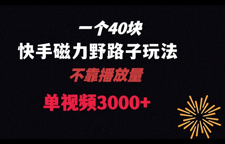 一个40块，快手联合美团磁力新玩法，无视机制野路子玩法，单视频收益4位数【揭秘】